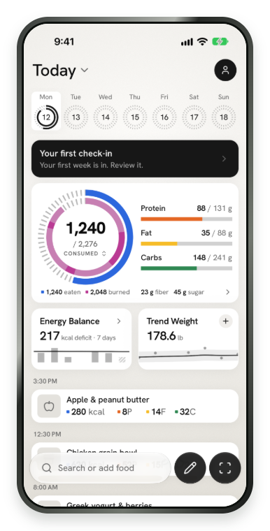 Daily food log in Fit Shapes on iPhone